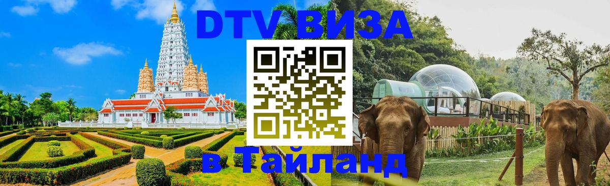 Visa ДТВ Тайланд помощь 